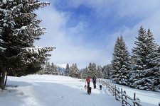 winterwandern vigiljoch escursione invernale montesanvigilio