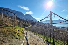 Wein und Apfelweg Schenna