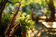 Lanameets Jazz meranerland